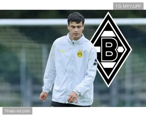 波兰斯基谈雷纳融入情况：门兴中场配置优化计划